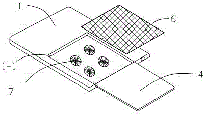 Notebook computer with radiation prevention film