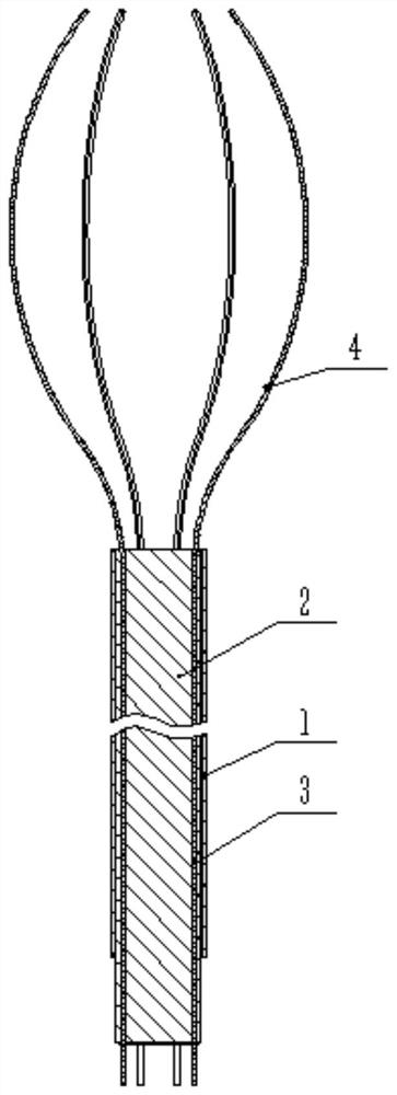 Hematoma extraction system, navigation system and hematoma boundary judgment method