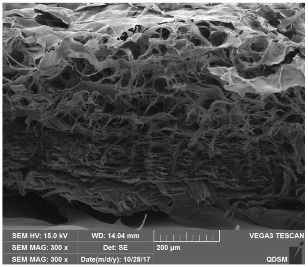 A kind of decellularized dermal matrix derived from fish skin and its preparation method