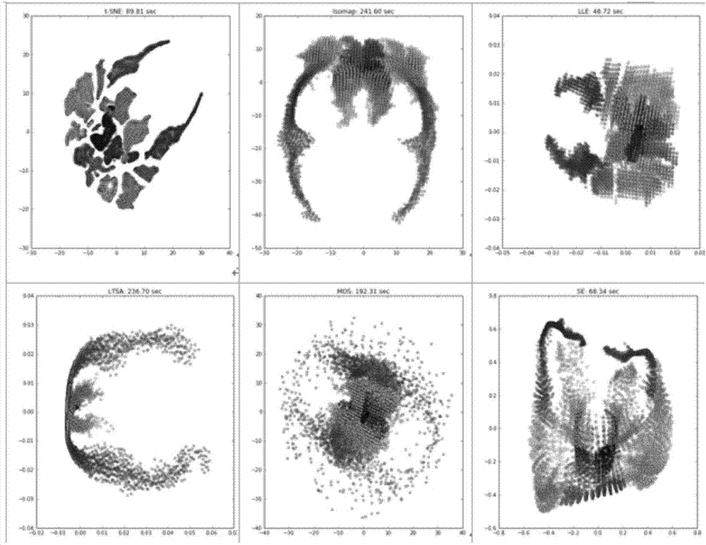 Two dimensional visualization method of fMRI data based on popular learning algorithm