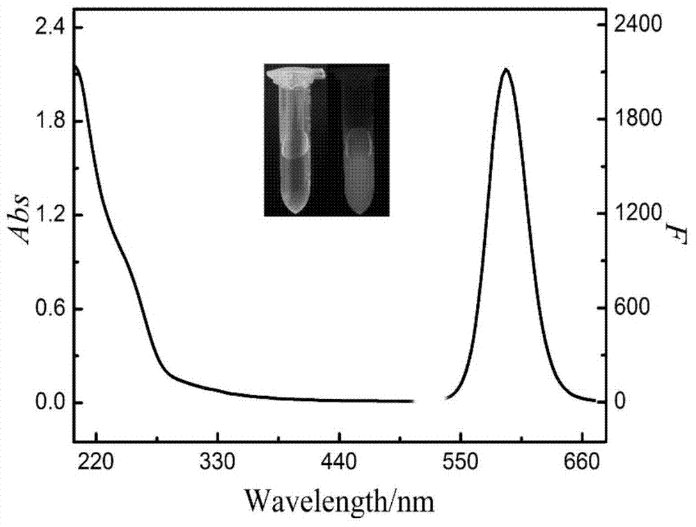 Molecularly imprinted polymer based on core-shell quantum dot and application thereof