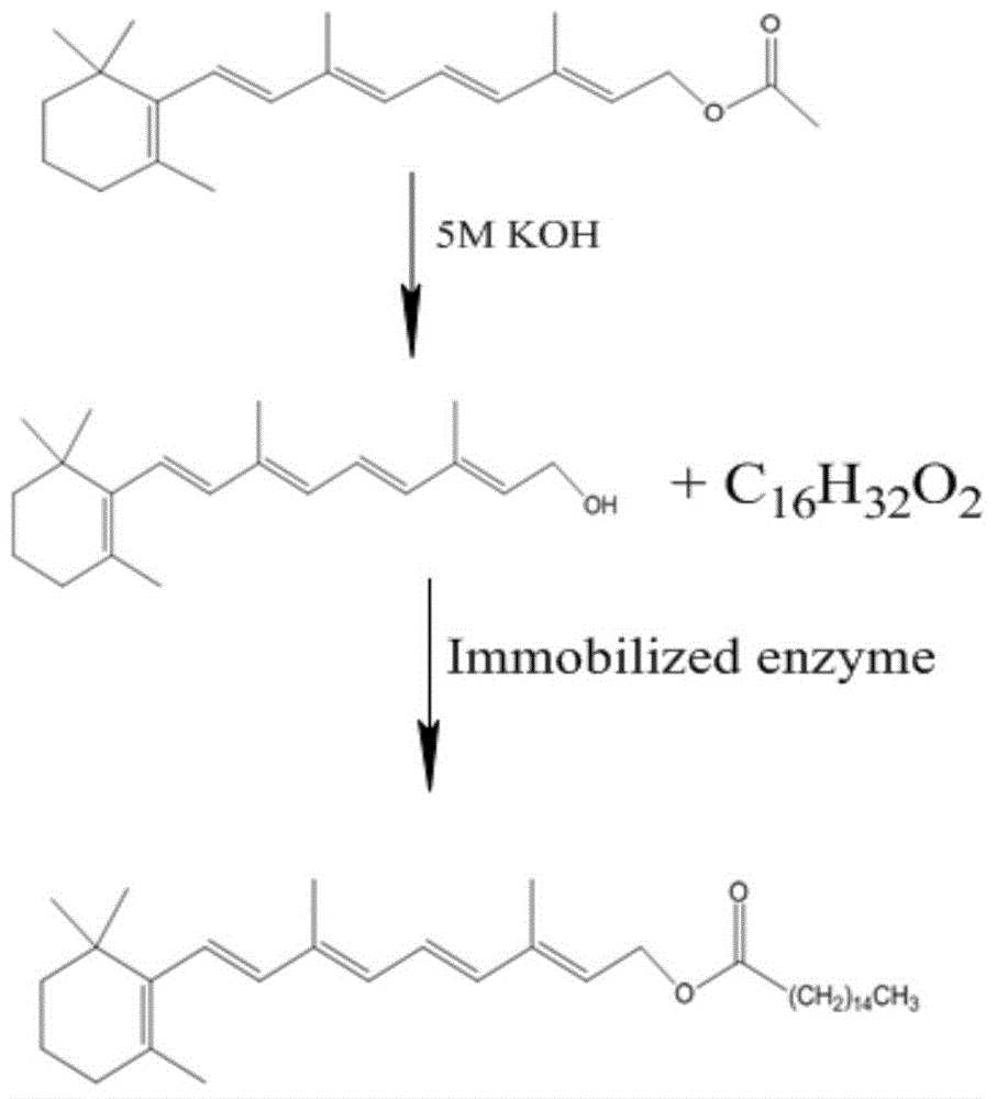 Synthetic method of vitamin A palmitate