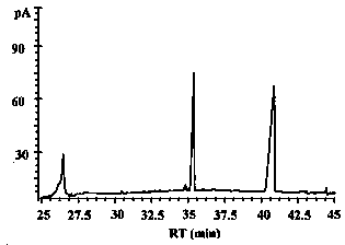 A method for extracting white shell acidic polysaccharides with antioxidant and liver-protecting effects from white shellfish