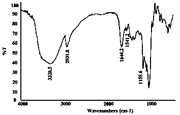 A method for extracting white shell acidic polysaccharides with antioxidant and liver-protecting effects from white shellfish