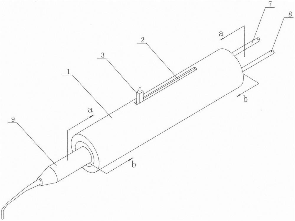 Cleaning device and cleaning method for oral probe