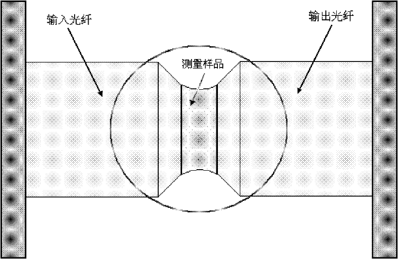 Particle measurement device and method based on fiber coupling