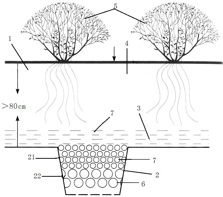 Draining canal system for tea and fruit garden