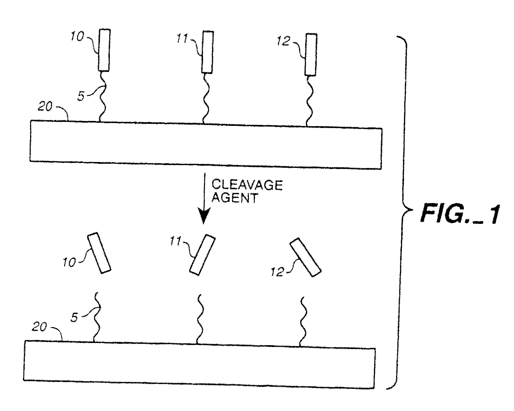 Compositions and methods for preparing oligonucleotide solutions