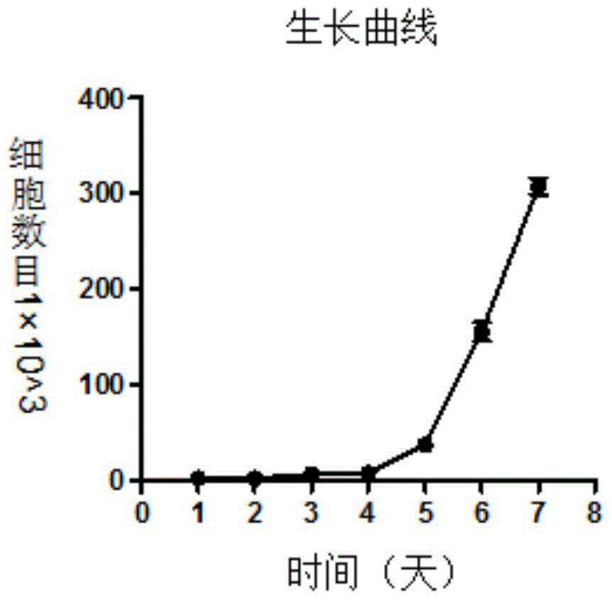 A kind of human lung adenocarcinoma cell line and application thereof