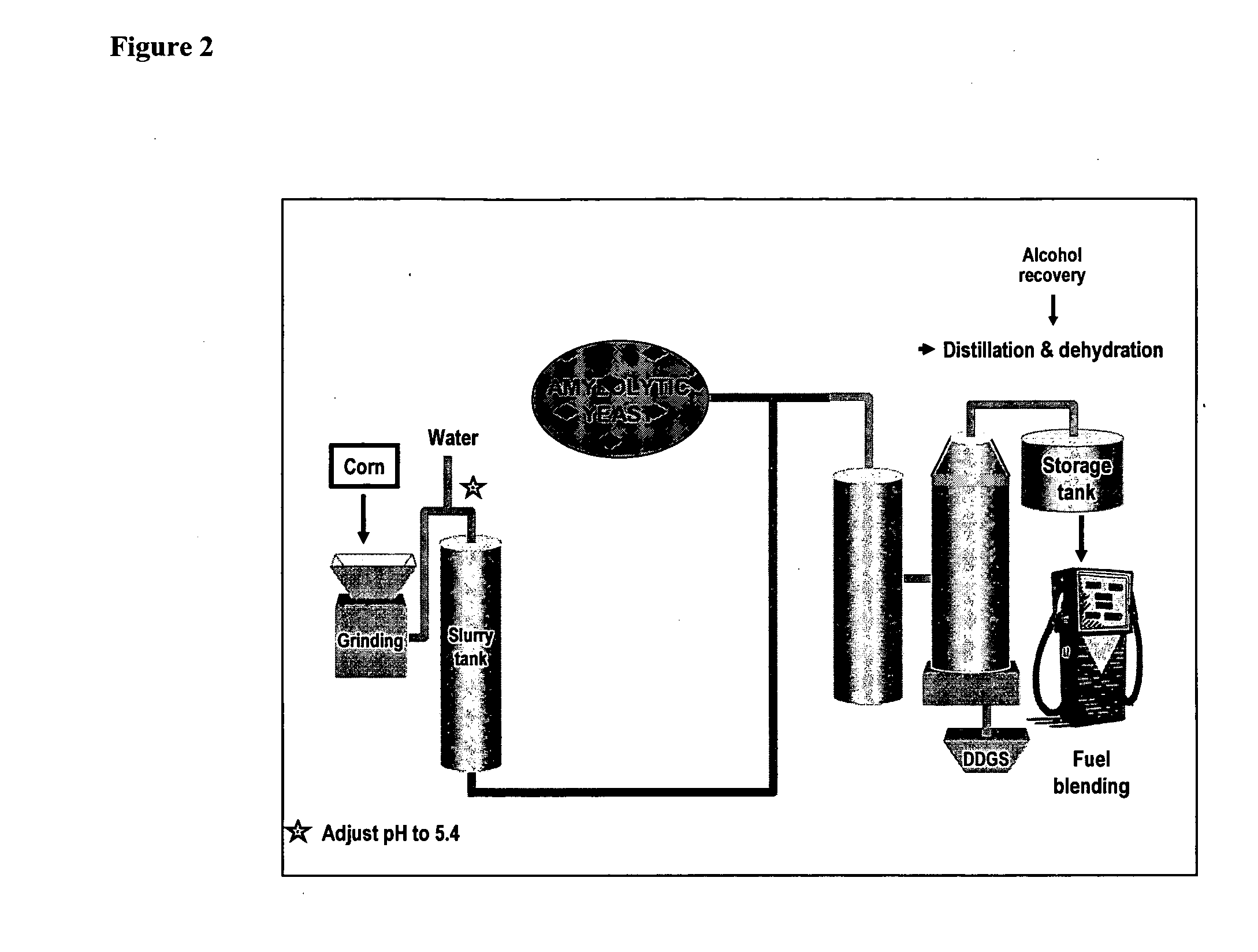 Biofuel Production