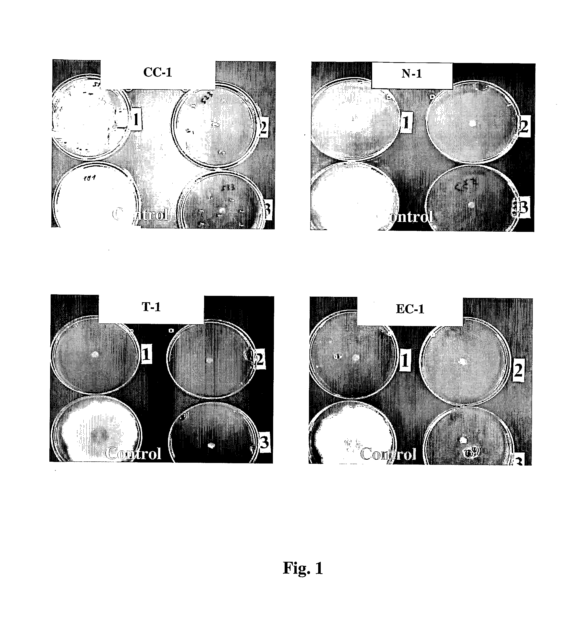 Compositions and Methods for Protection of Harvested Fruits from Decay