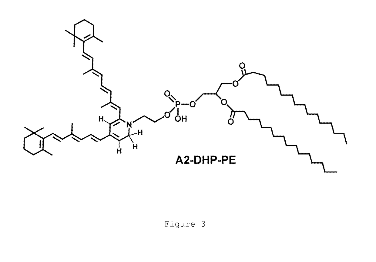 Octahydrocyclopentapyrroles, their preparation and use