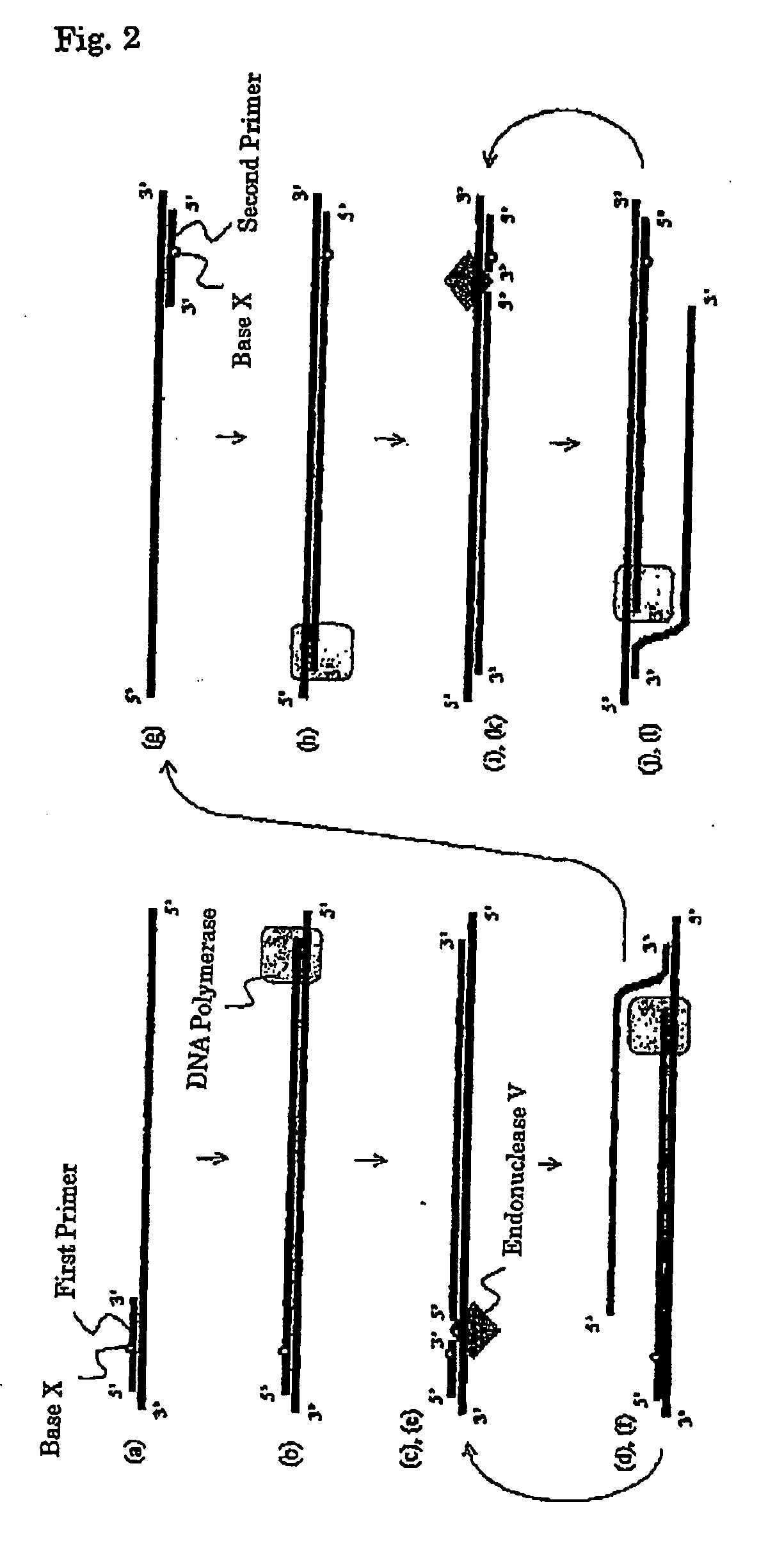 Method for amplification of nucleotide sequence