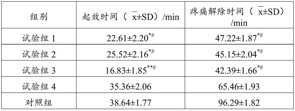 Headache pain relief patch and preparation method thereof