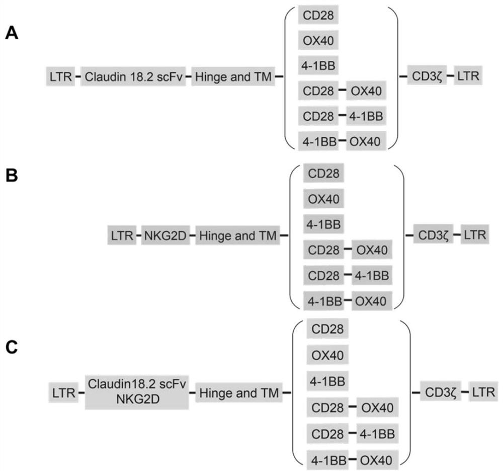 Chimeric antigen receptor cell targeting human claudin18.2 and nkg2dl and its preparation method and application