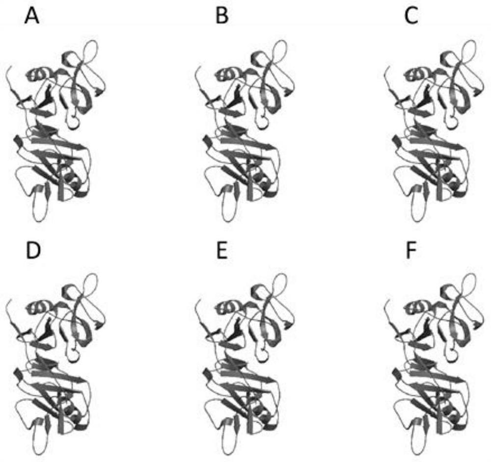 Chimeric antigen receptor cell targeting human claudin18.2 and nkg2dl and its preparation method and application