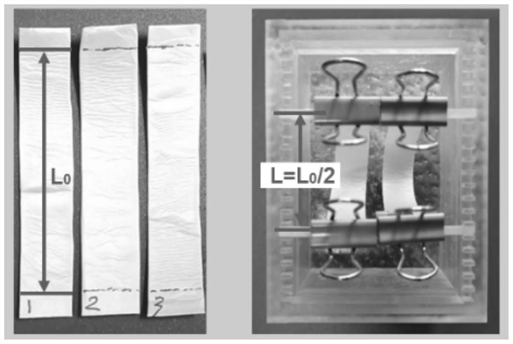 A kind of bionic fibrous ring support and preparation method thereof