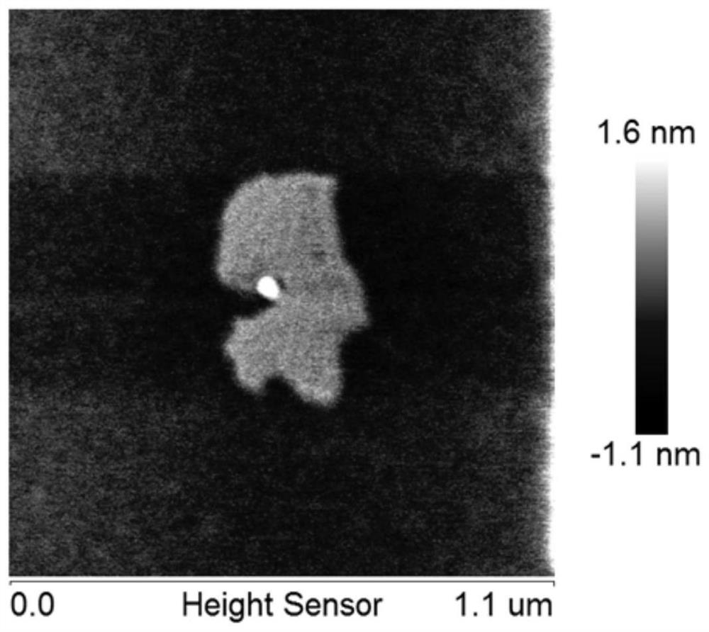 Composite material capable of enriching and immobilizing protein as well as preparation method and application thereof