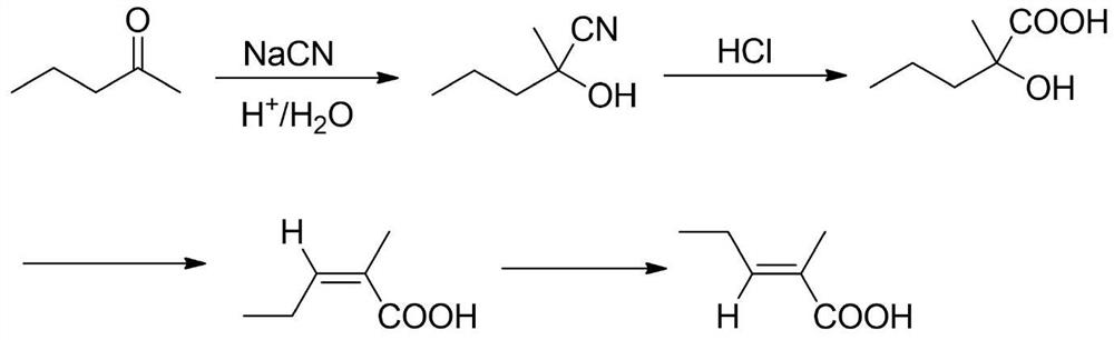 A kind of synthetic method of trans 2-methyl-2-pentenoic acid