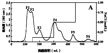 Minced tuna protein antioxidative peptide and preparation method and use thereof