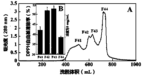 Minced tuna protein antioxidative peptide and preparation method and use thereof