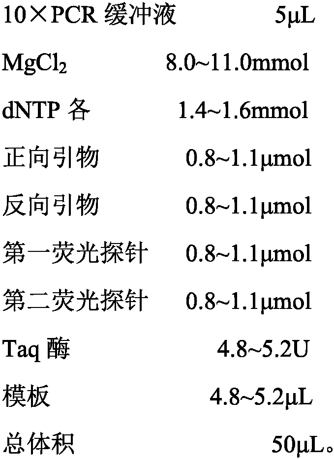 A digital PCR detection kit for a T790M mutation site of the EGFR gene