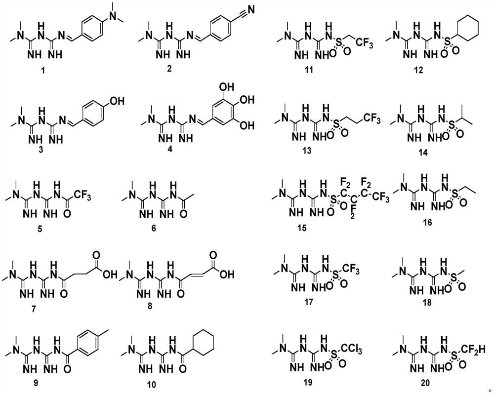 Biguanide derivatives for preventing and treating infarction diseases and their application
