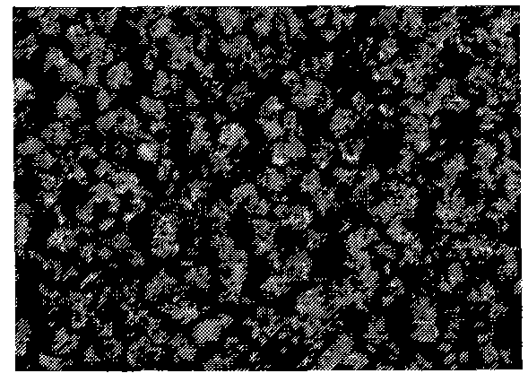 Suspending stuffing for processing fluid bed biological film