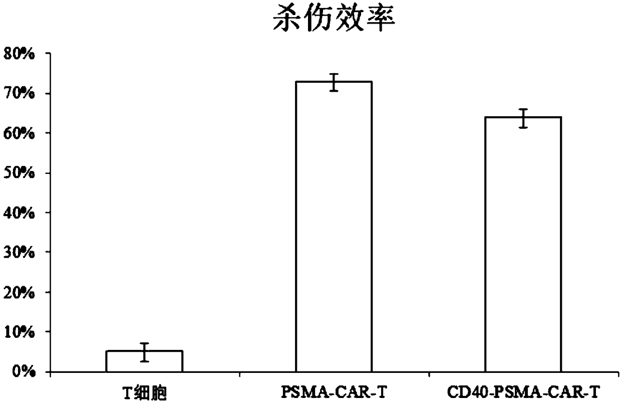 Lentiviral vector expressing CD40 antibody, and construction method and application of CAR-T cells