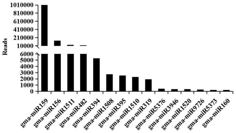 Application of soybean rna extract in the preparation of medicines for preventing and treating enteritis