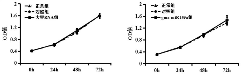 Application of soybean rna extract in the preparation of medicines for preventing and treating enteritis