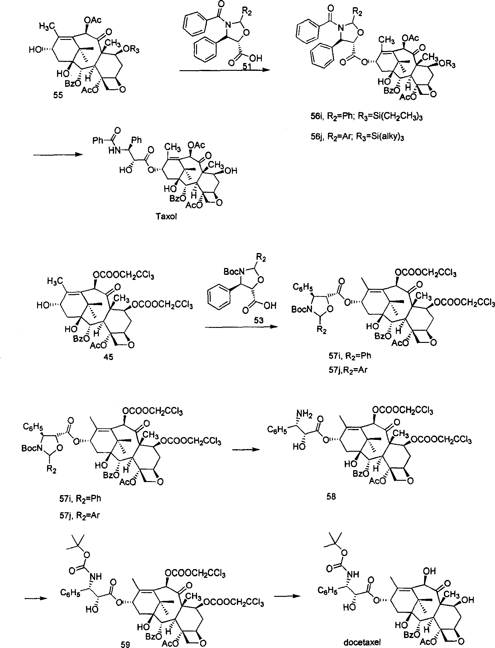 Process of synthesizing taxol and docetaxel