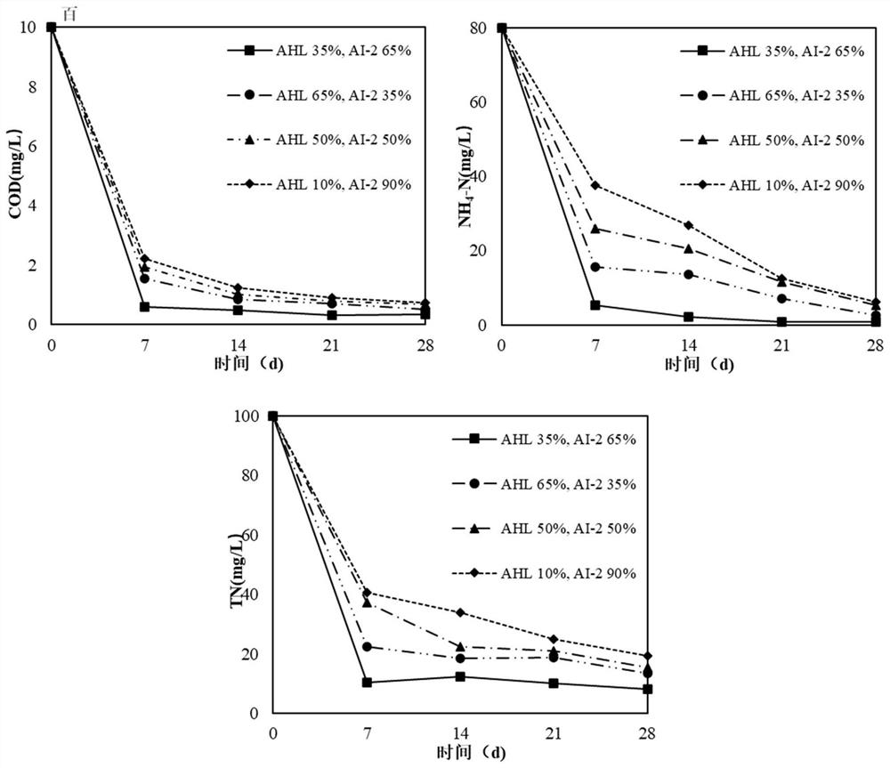 A kind of biological anchoring agent and its preparation method and application