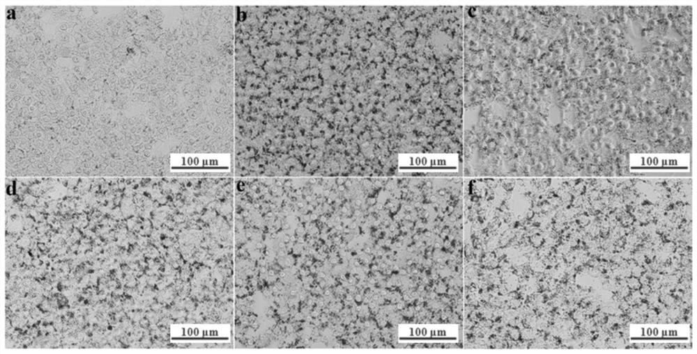 Application of ethanol extract of bean and taro tubers in reducing lipid deposition in hepatic cells