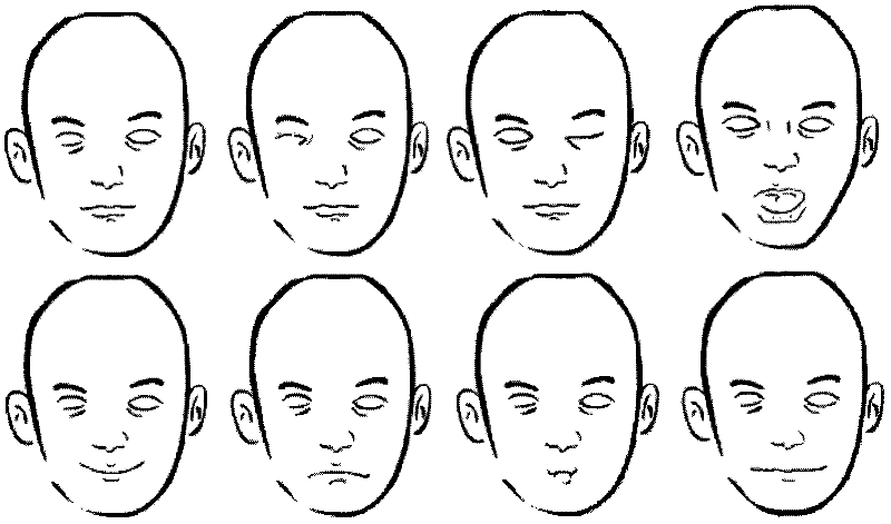 Expression interaction method based on face tracking and analysis