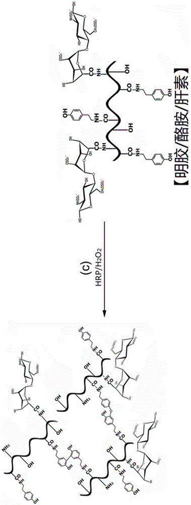 An injectable hydrogel with controlled release capability for tissue engineering and its application