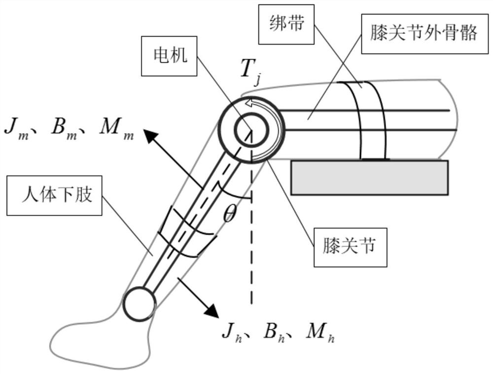 A model-free angle control method with variable gain of knee exoskeleton based on pso