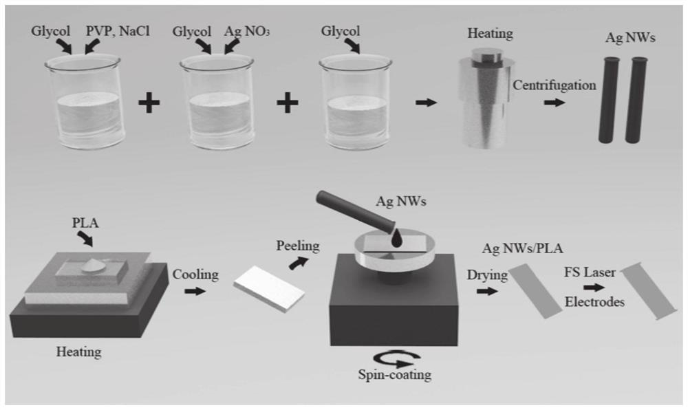 Method for preparing polylactic acid flexible strain sensor of silver nanowire and application of polylactic acid flexible strain sensor