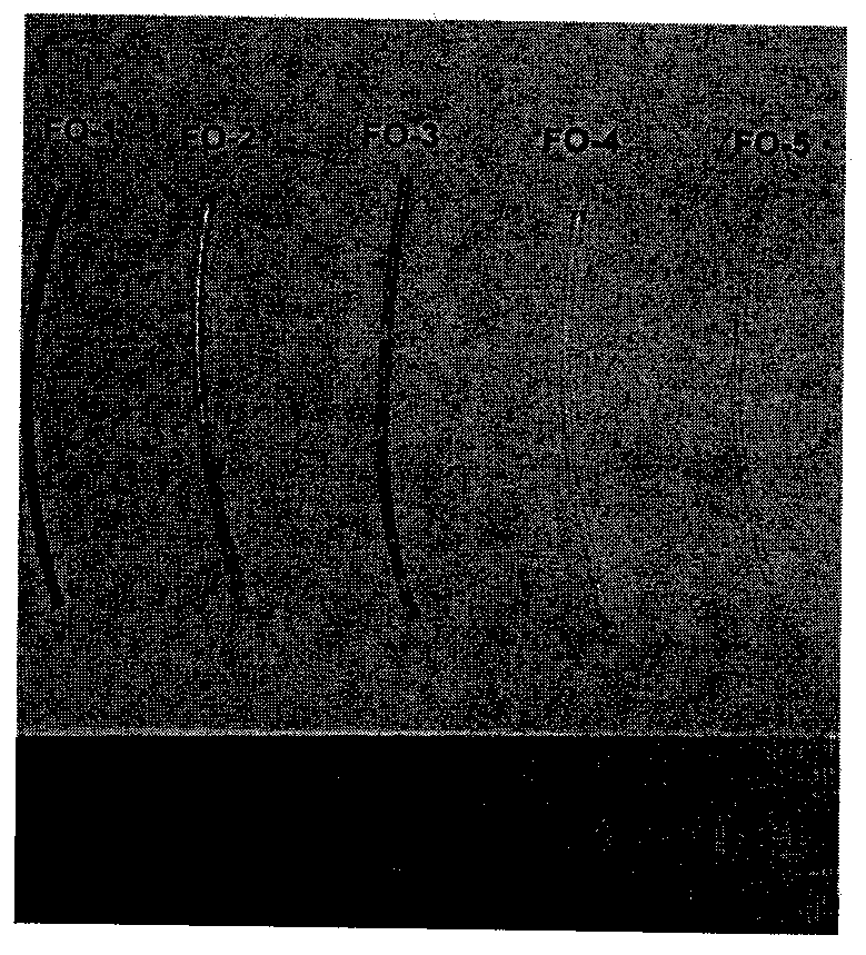 Asymmetric oxidation-resistant permeable membrane and preparation method thereof