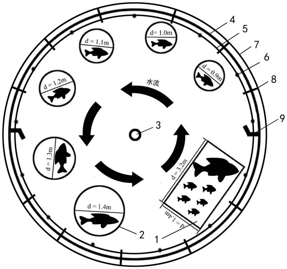 A method of artificial oxytocin-natural mating and fertilization-embryo floating water hatching