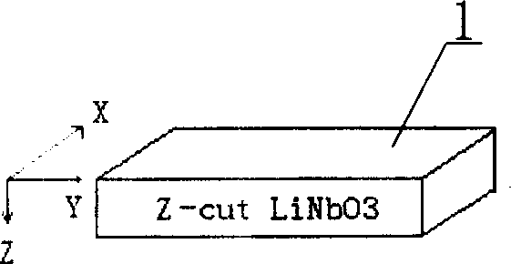 Lithium niobate modulator and its making process