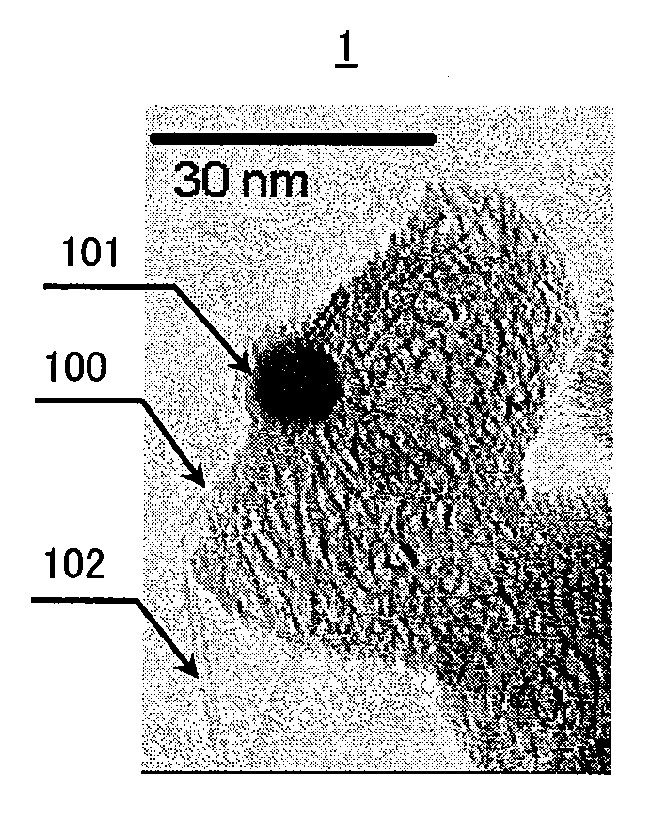Nanotube-nanohorn complex and method of manufacturing the same