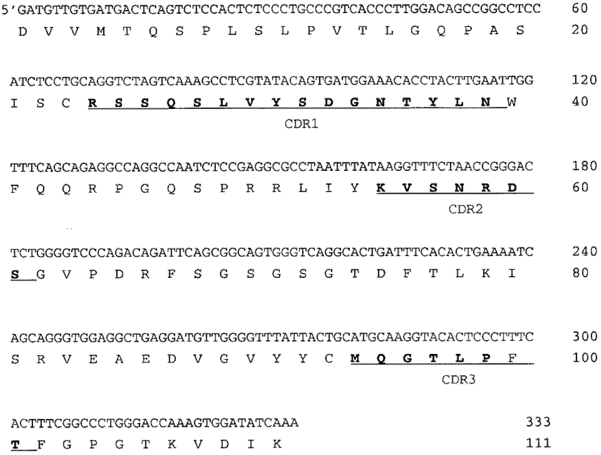 Human monoclonal antibody specific for lipopolysaccarides (LPS) of serotype IATS 01 of pseudomonas aeruginosa