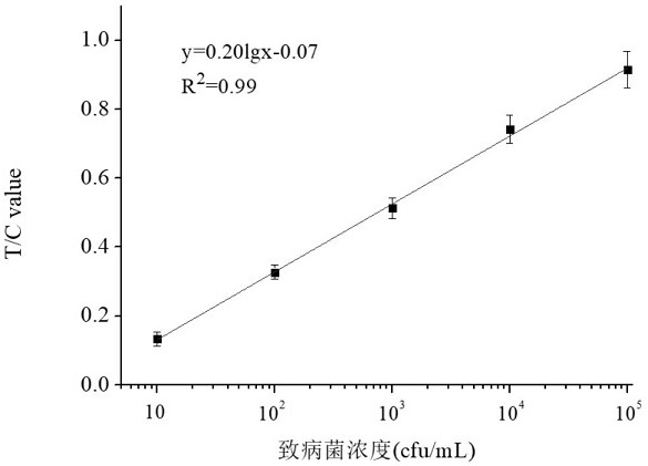 A method for detecting vibrio parahaemolyticus