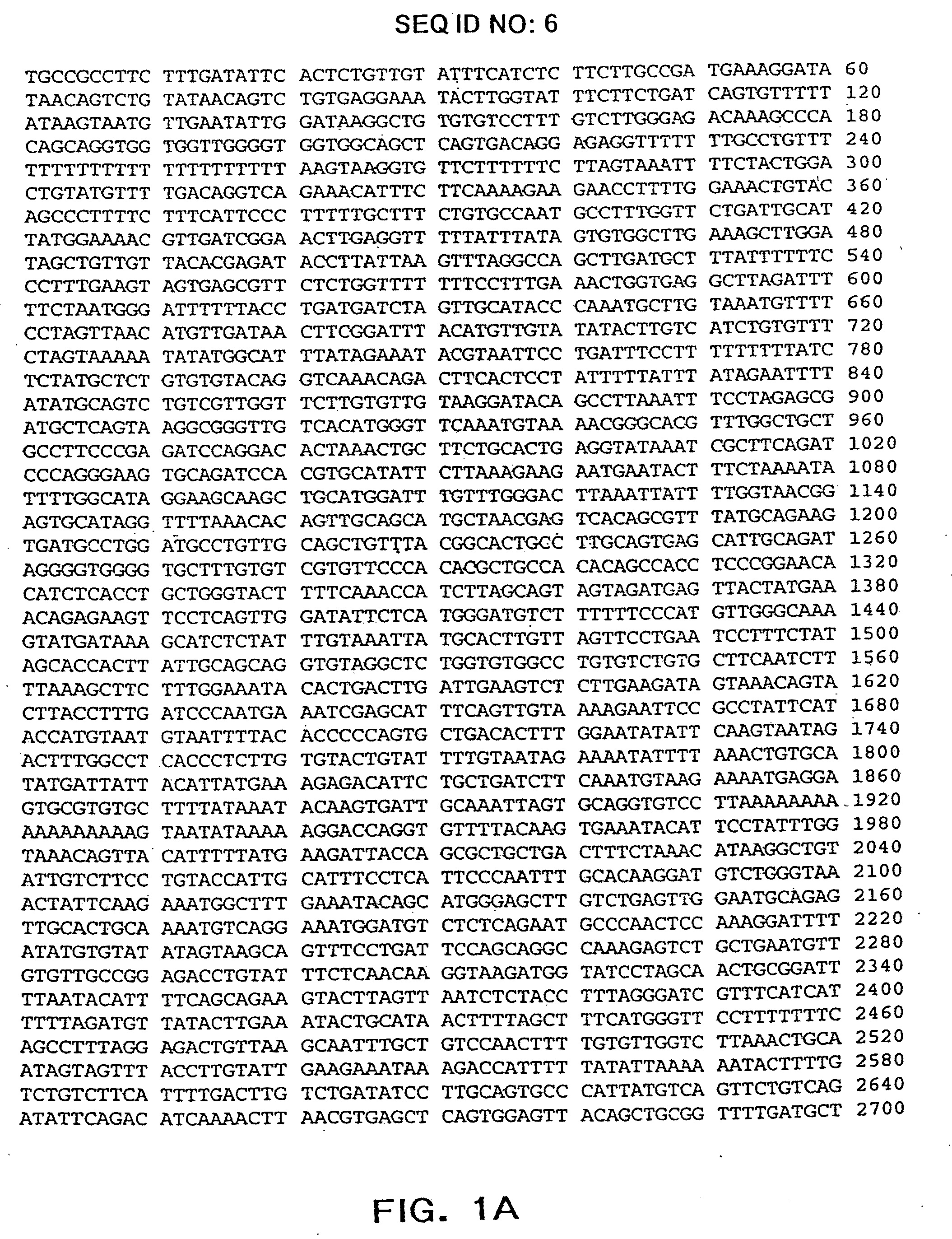 Antibodies produced in the avian oviduct