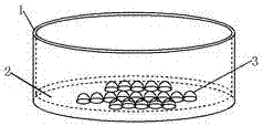 Massage convex foot basin