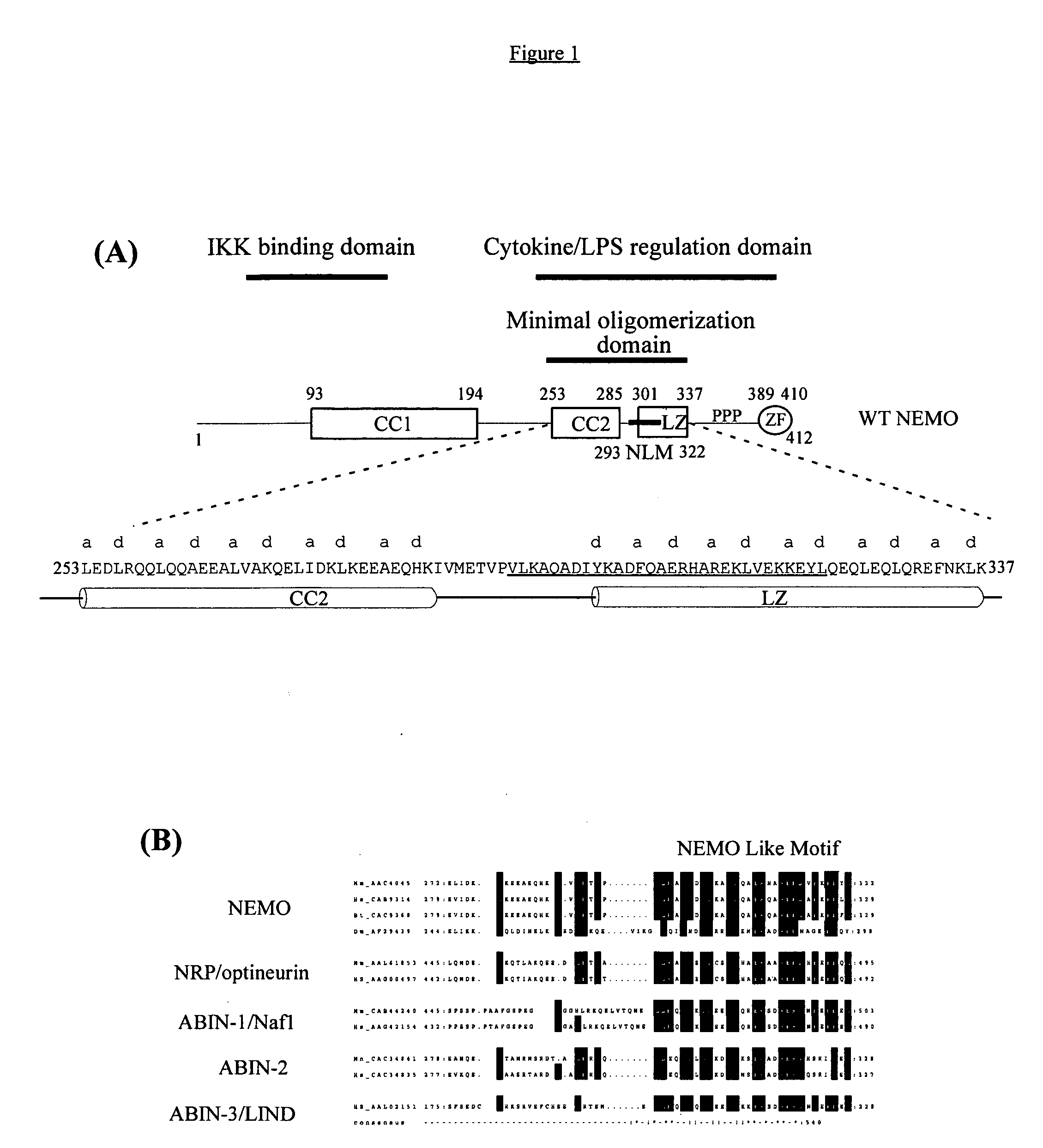 Selective inhibition of NF-kappaB activation by peptides designed to disrupt NEMO oligomerization