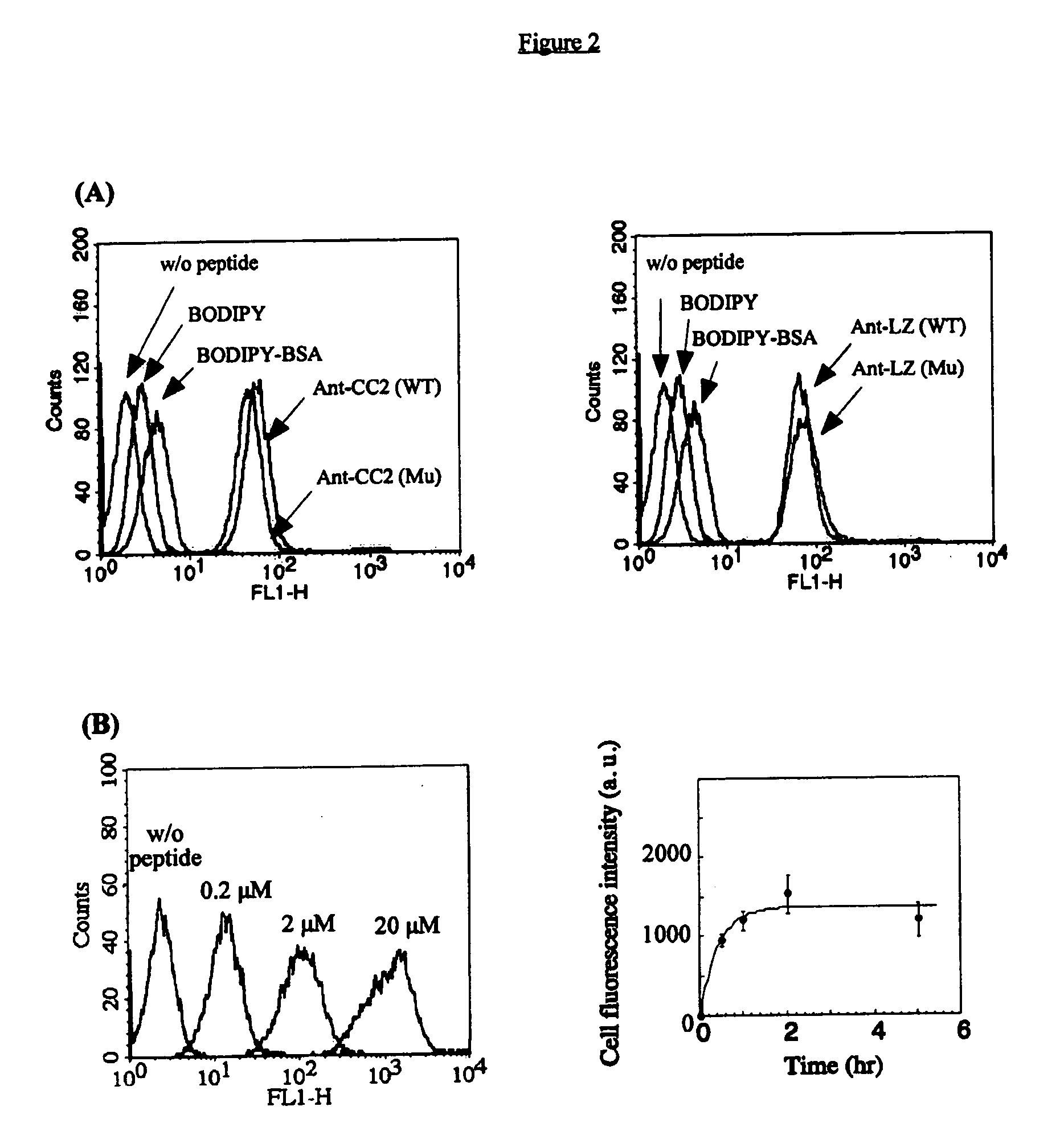 Selective inhibition of NF-kappaB activation by peptides designed to disrupt NEMO oligomerization