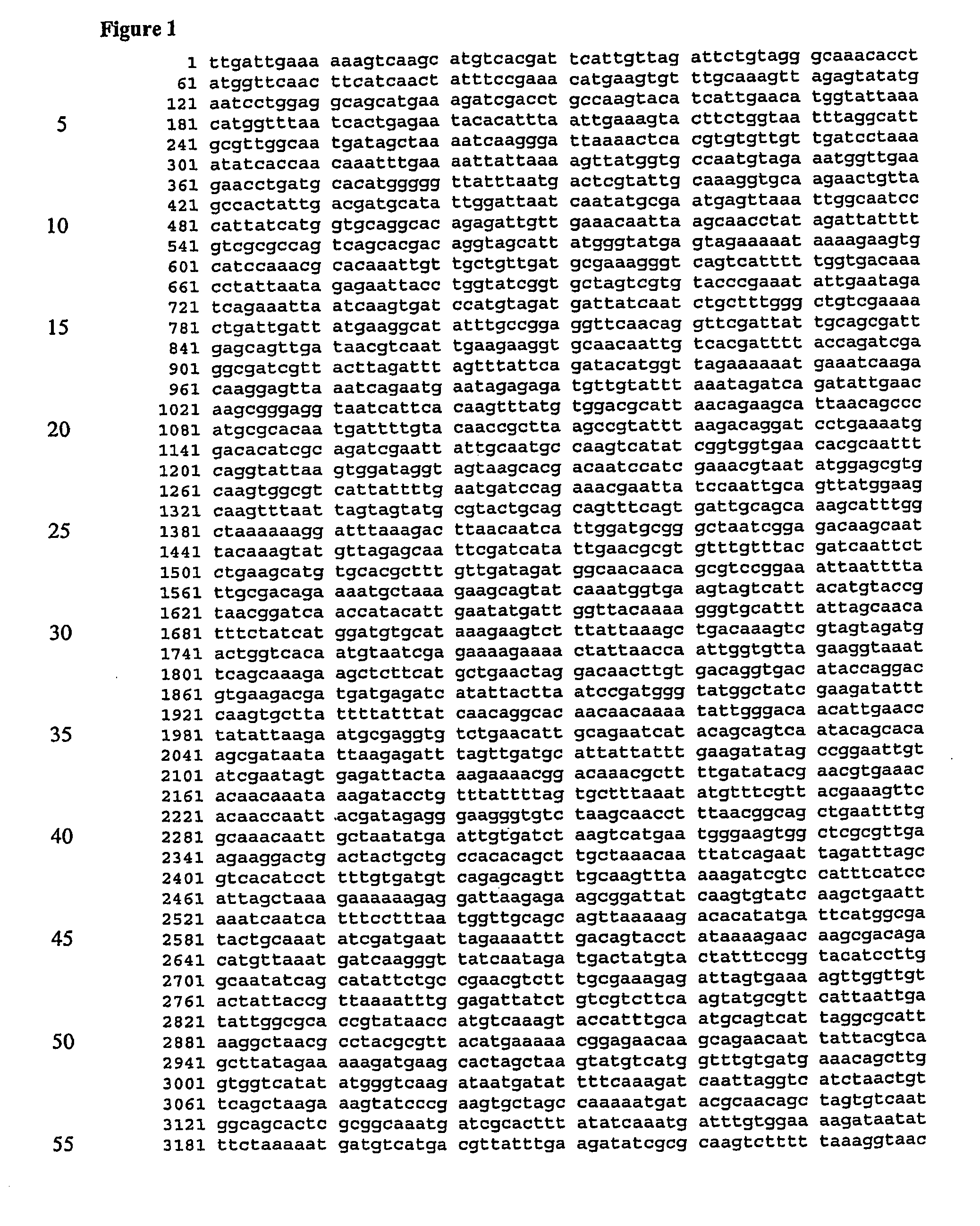 Screening assays for inhibitors of a staphylococcus aureus siderophore