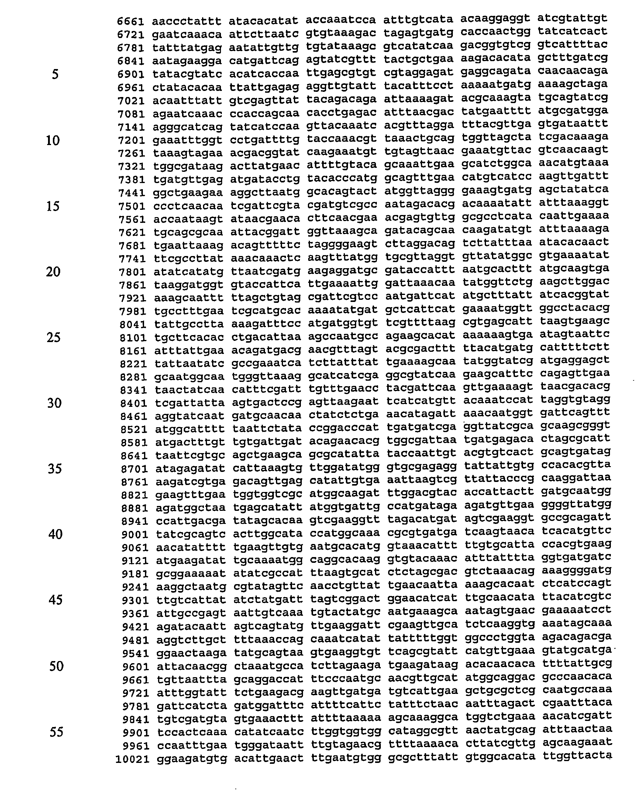 Screening assays for inhibitors of a staphylococcus aureus siderophore